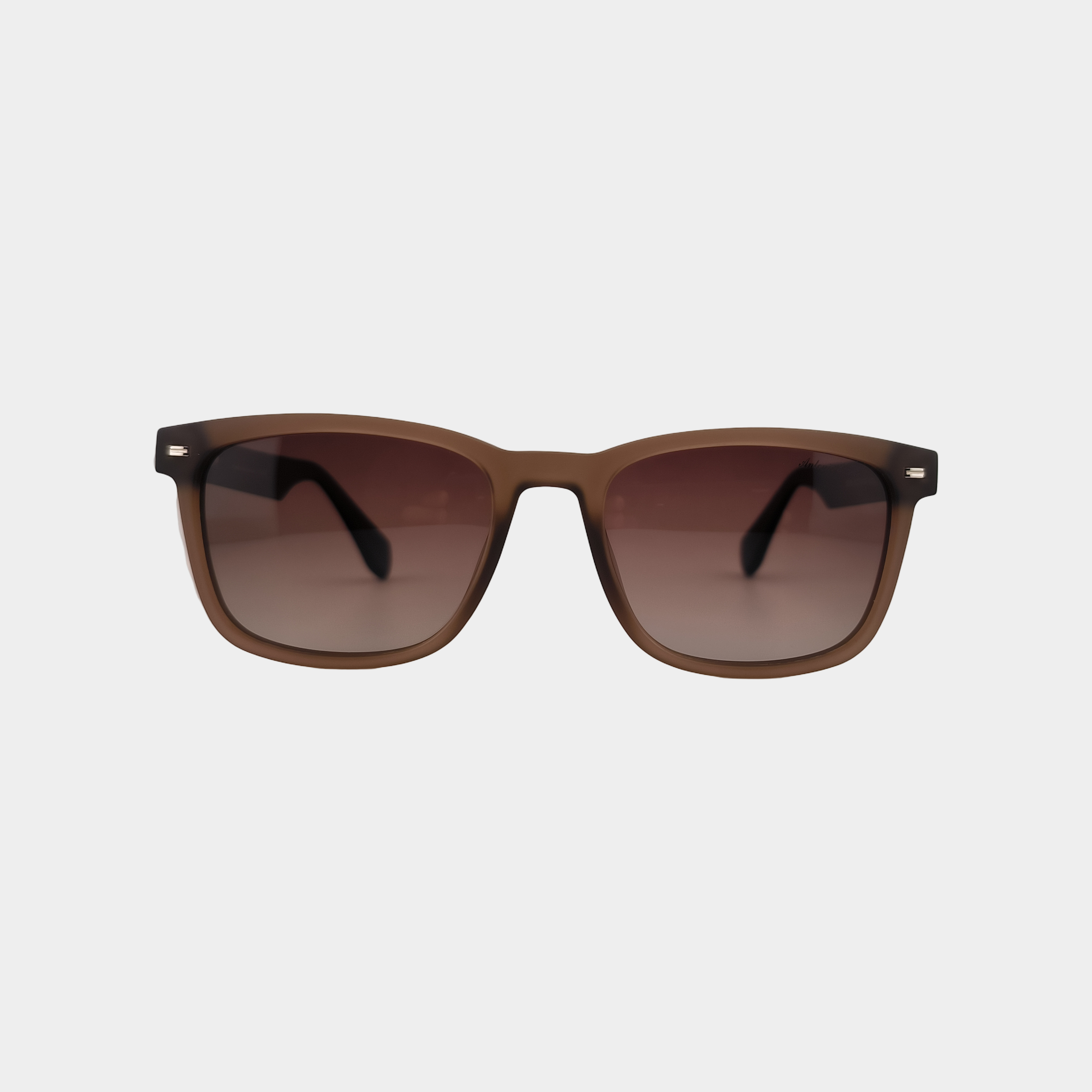 Antonio Banderas 5065 Rectangular Men’s Polarized Sunglasses – Roshanbin Optic