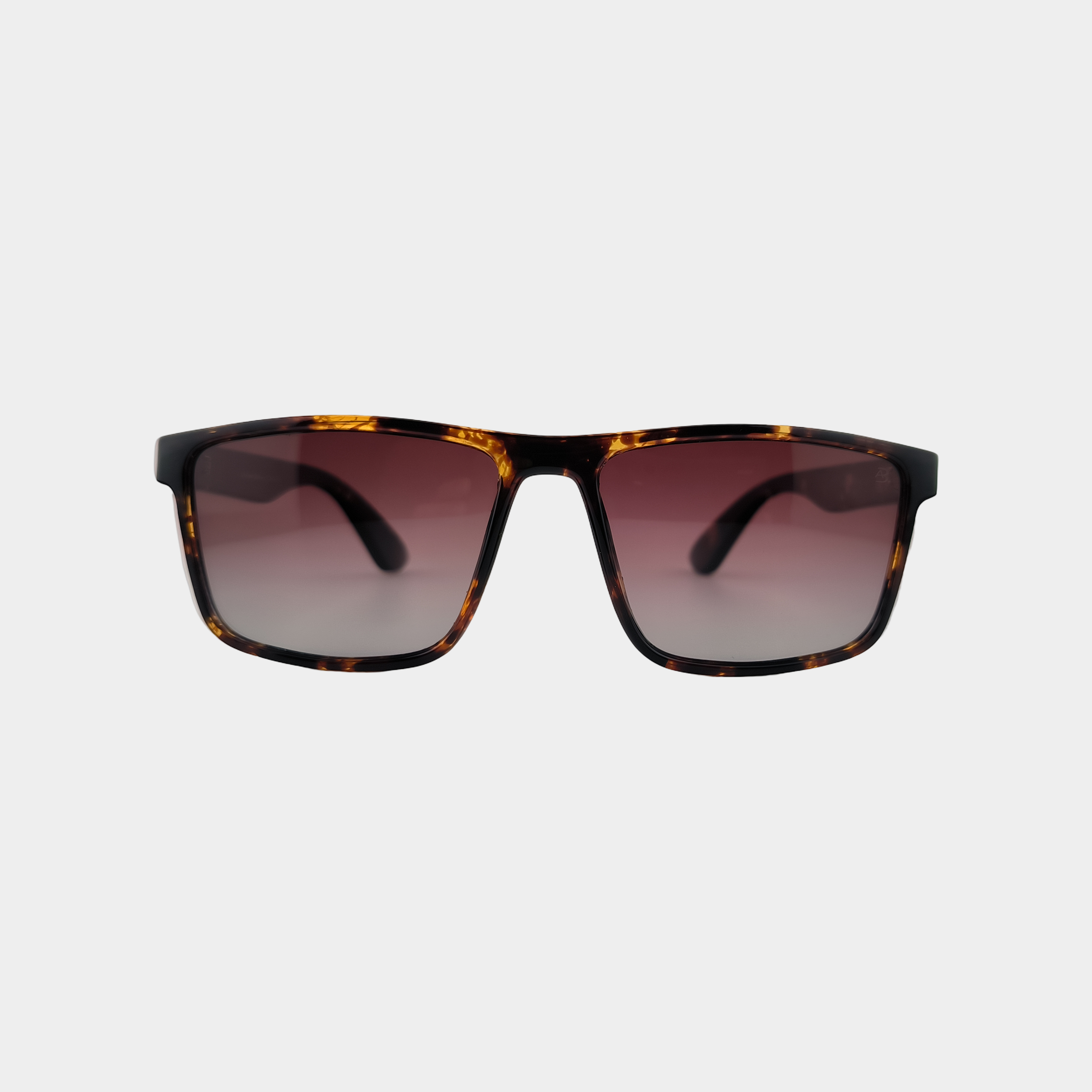 Antonio Banderas 8448C5 Rectangular Men’s Polarized Sunglasses – Roshanbin Optic